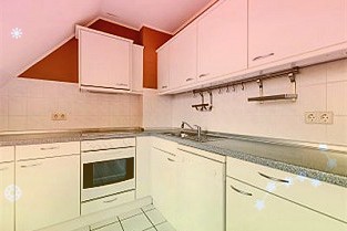 新对话·博鳌企业家面对面｜新河县：做精“品牌+”文章绘就乡村振兴新图景